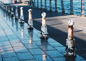 Five Harbor Walks